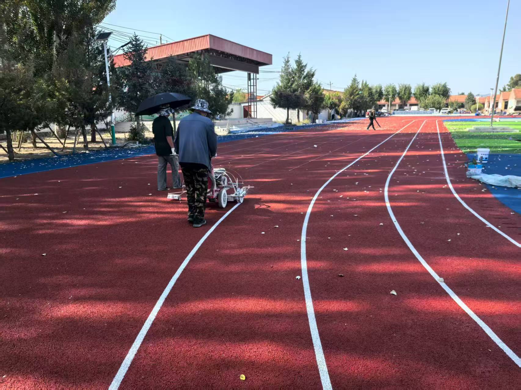 资阳市EPDM塑胶跑道塑胶跑道施工 - 厂家